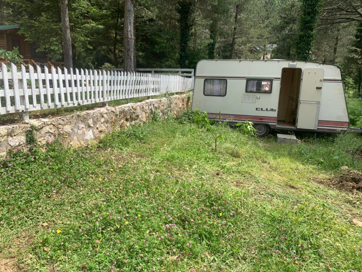 Bujtina Uji I Panjes, Log Cabins Dukat Exteriör bild