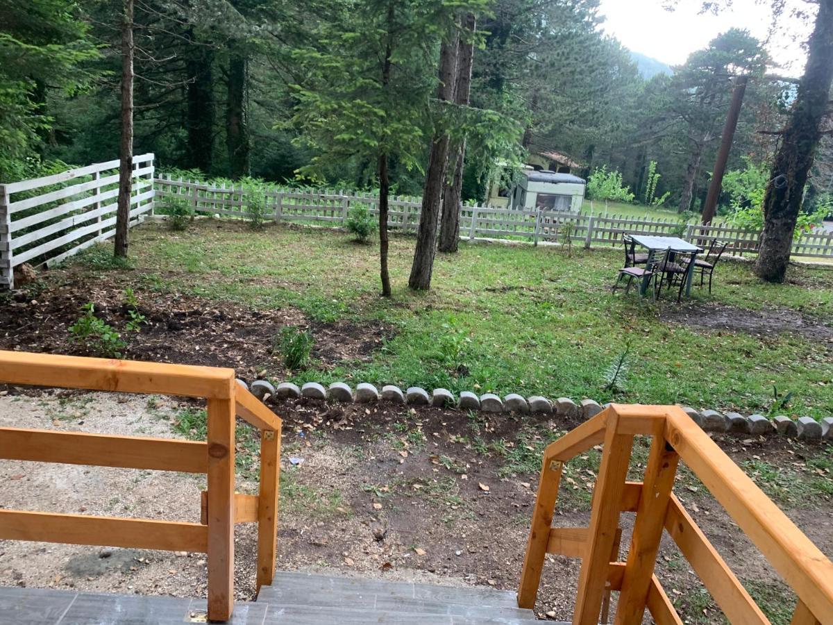 Bujtina Uji I Panjes, Log Cabins Dukat Exteriör bild