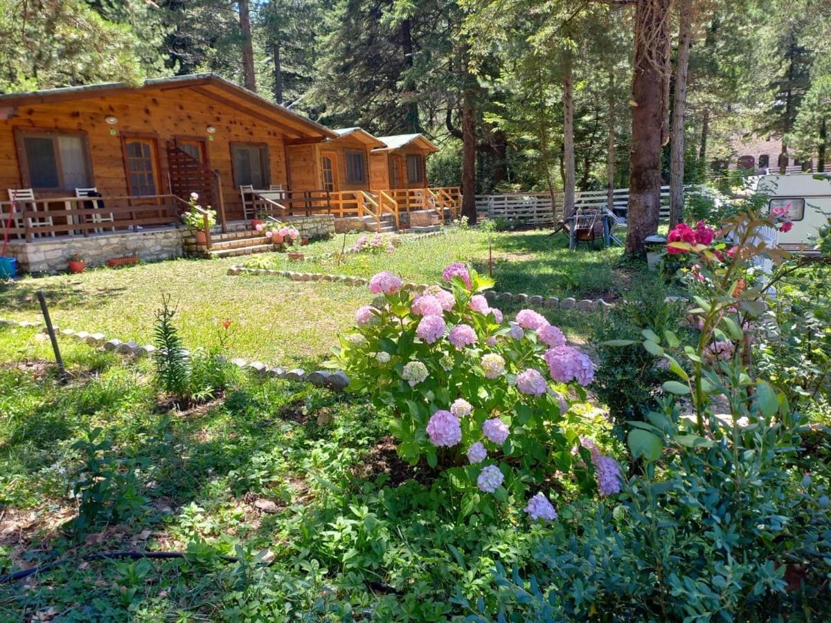 Bujtina Uji I Panjes, Log Cabins Dukat Exteriör bild